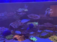 IMG_1874.jpeg