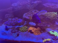 IMG_1867.jpeg
