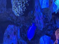 IMG_2064.jpeg