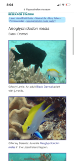 IMG_2057.png