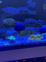 IMG_2063.jpeg