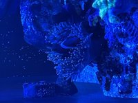 IMG_2060.jpeg