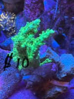 IMG_8679.jpeg