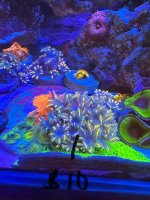 IMG_8680.jpeg