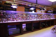 20-foot-coral-tank.jpg