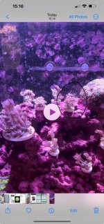 IMG_6316.jpeg