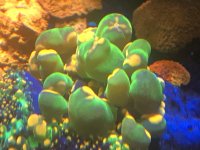 IMG_2916.jpeg