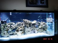 90G.jpg
