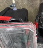 IMG_5942.jpeg