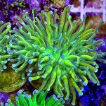 IMG_2036.jpeg