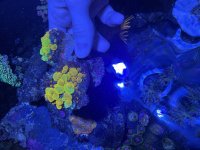 IMG_8597.jpeg