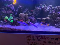 IMG_4352.jpeg