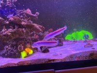 IMG_4344.jpeg