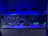 IMG_4309.jpeg