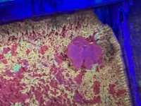 IMG_2028.jpeg