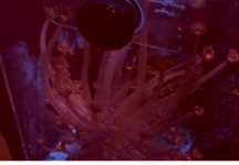IMG_1318.jpeg