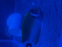 IMG_3036.jpeg