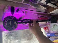 IMG_4813.jpeg