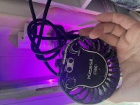IMG_4811.jpeg