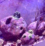 IMG_4557.jpeg