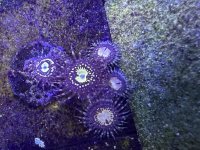 IMG_0465.jpeg