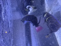IMG_1511.jpeg