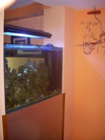 Fish tank back view.jpg