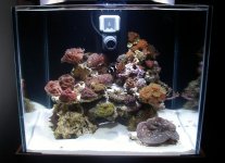 new tank 1 .jpg new tank 1 .jpg