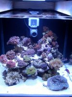 new tank 3 .jpg new tank 3 .jpg