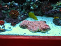 IMG_1101.jpg