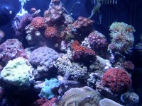 right center .jpg