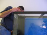 90 gallon tank thread 003.jpg