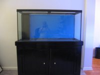 90 gallon tank thread 004.jpg