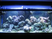 55 Gallon dec 27 002.jpg