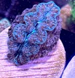 IMG_1114.jpeg