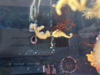 IMG_6659.jpeg