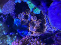 IMG_3734.jpeg