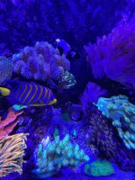 IMG_8950.jpeg
