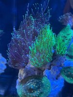 IMG_7379.jpeg