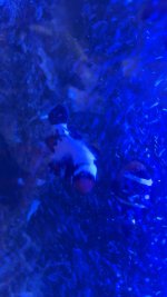 IMG_4917.jpeg