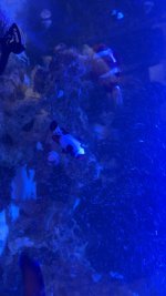 IMG_4915.jpeg