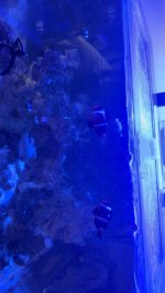 IMG_4914.jpeg