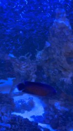 IMG_4912.jpeg