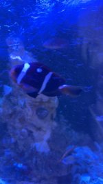 IMG_4913.jpeg