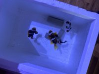 IMG_5614.jpeg
