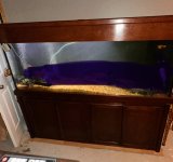 IMG_4011.jpeg