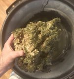 IMG_5966.jpeg