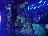 IMG_0739.jpeg