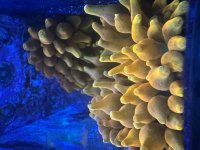 IMG_2408.jpeg