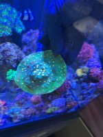 IMG_8303.jpeg